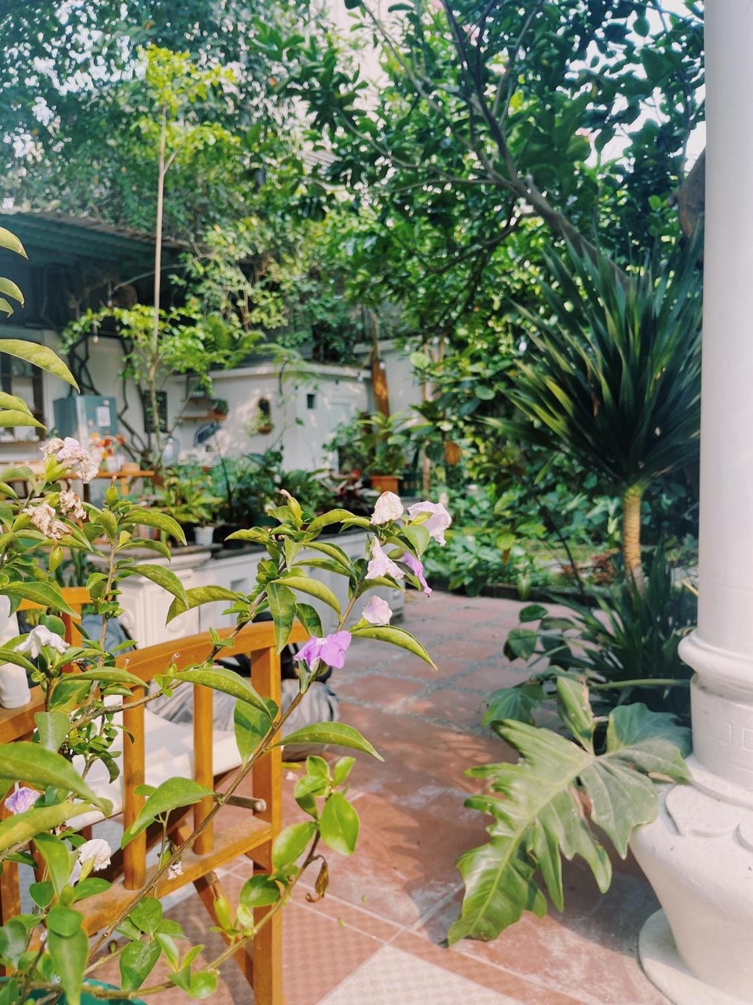 1.Home Hanoi Bagian luar foto